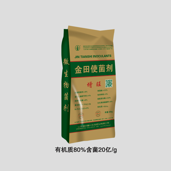 ����ʹ����