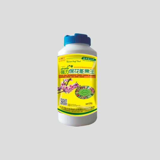 ǿ�����������