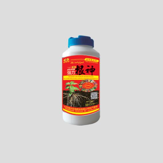 ǿ������